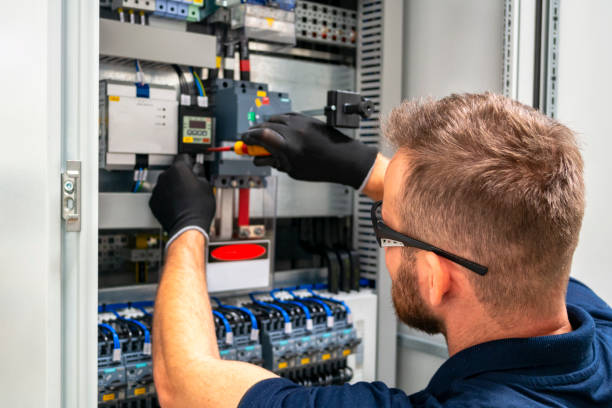 Best Ceiling Fan Installation Electrician  in Morrice, MI